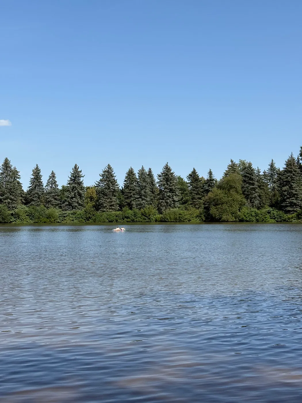 The lake where we took a swim